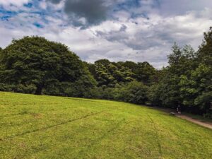 Endcliffe Park