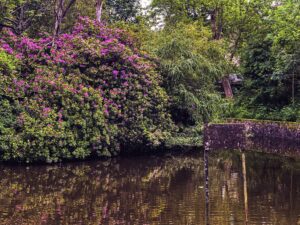 Endcliffe Park