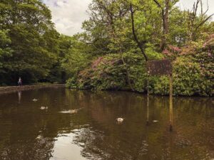 Endcliffe Park