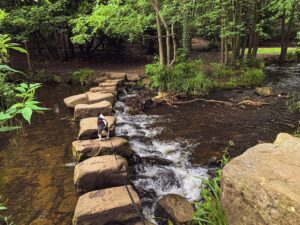Endcliffe Park
