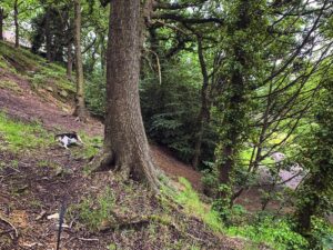 Endcliffe Park