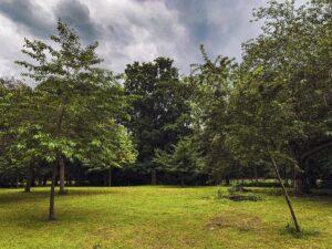 Endcliffe Park