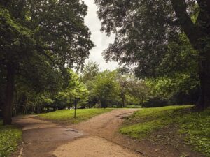 Endcliffe Park