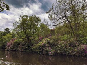 Endcliffe Park