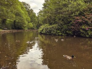 Endcliffe Park