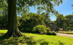 Sheffield Botanical Gardens