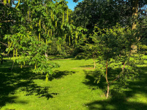 Sheffield Botanical Gardens