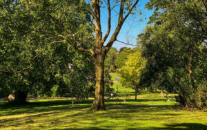 Sheffield Botanical Gardens