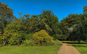 Sheffield Botanical Gardens