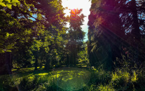Sheffield Botanical Gardens