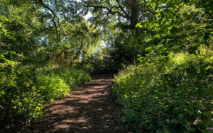 Sheffield Botanical Gardens