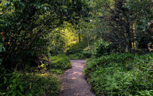 Sheffield Botanical Gardens