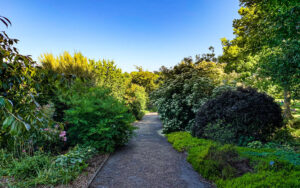 Sheffield Botanical Gardens