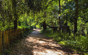Sheffield General Cemetery